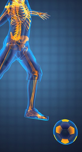 Sports Medicine Service
