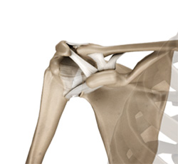 Acromioclavicular (AC) Joint Reconstruction