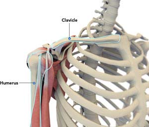 Shoulder Common Services