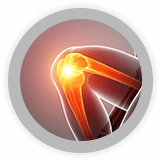 Services - Knee
