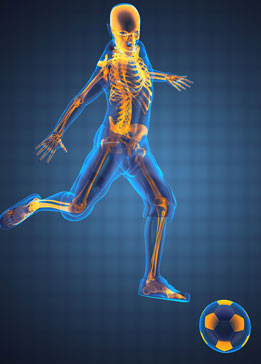 Services Sports Medicine