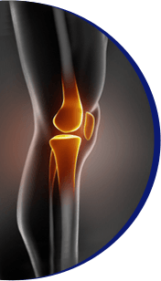 Knee 