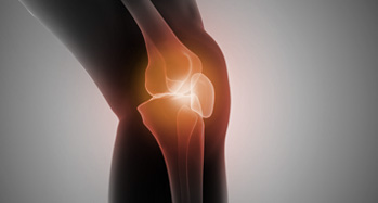Knee