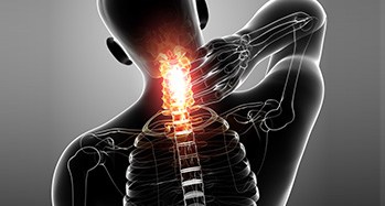 Spine
