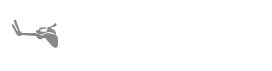 American Shoulder And Elbow Surgeons