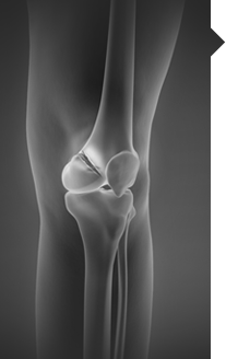bg of knee