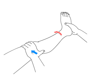 Knee