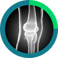 Knee Icon