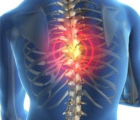 Thoracic Related Services List