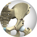  Hip Preservation Services