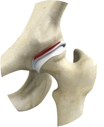 Research & Publicaion