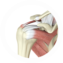 Services Shoulder