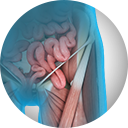  Sports Hernia Services