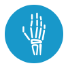 Hand & Wrist Icon