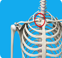 Sternoclavicular Joint Injury sp