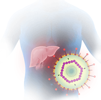 Hepatitis C