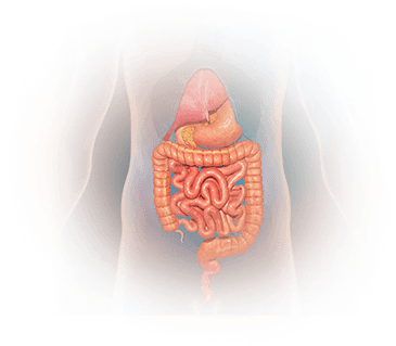 Prevention of Gastrointestinal Diseases