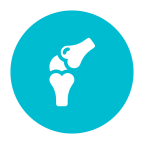 picture of Degenerative Joint Disease