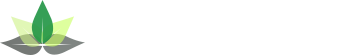 ADHD Consultant Logo