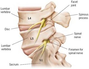 img - neck and/or back pain