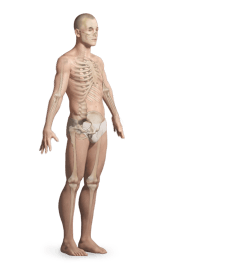 General Orthopaedics