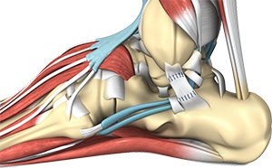  Sprains and Strains 1