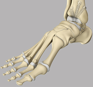 Foot & Ankle