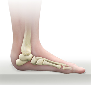 Foot & Ankle