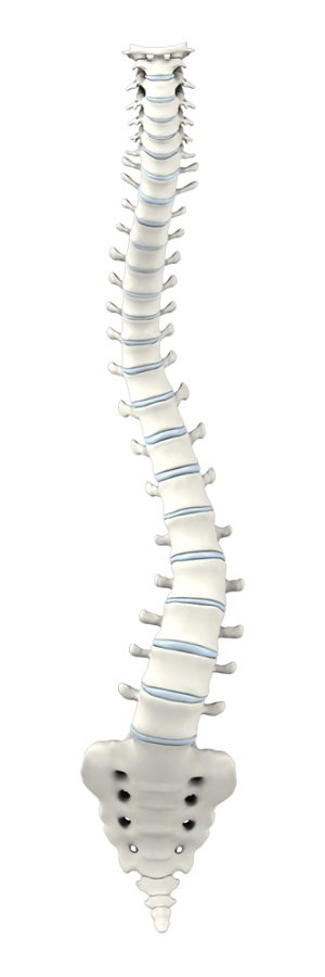 Adult Degenerative Scoliosis