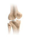 Mark Slabaugh, M.D PT Protocols Knee