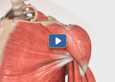 Shoulder Labral Repair Video