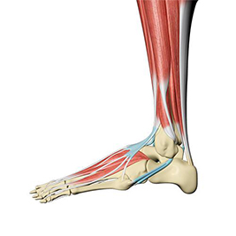 Minimally Invasive Surgery with Dr. Anthony Yi
