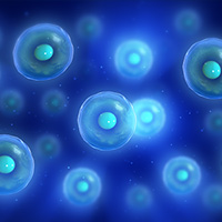Autologous Cell Therapy