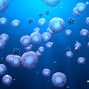 Regenerative Medicine