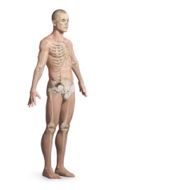 Non-operative Treatment of Arthritis