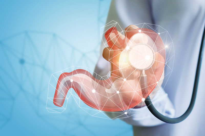  Our Specialist Clinicians