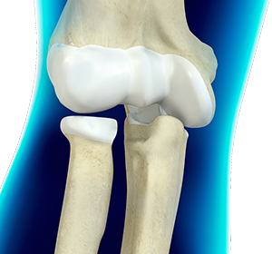 Elbow Anatomy Images