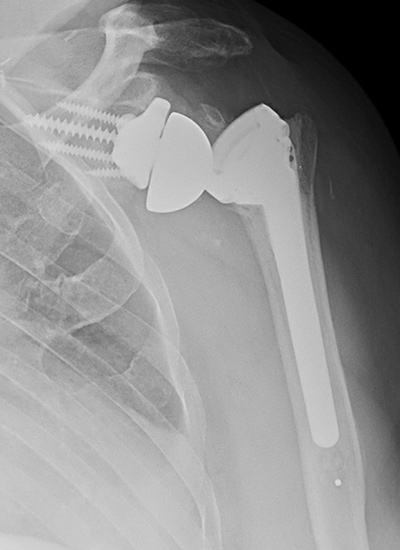 Clinical Experience Photos1