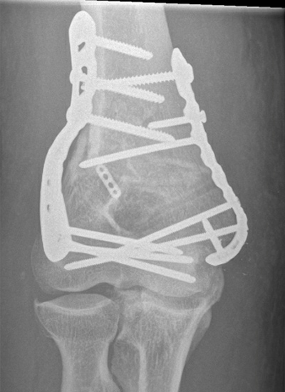 Clinical Experience Photos2