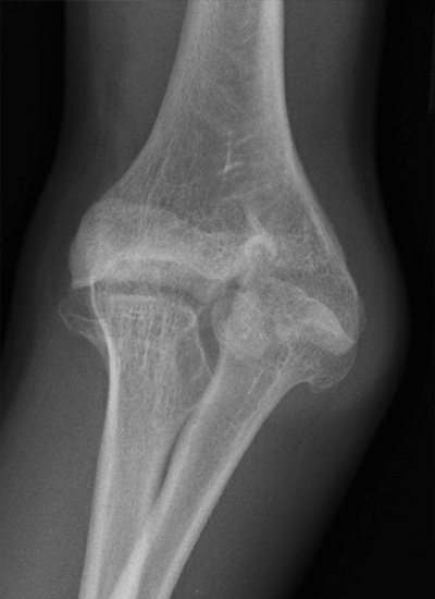 Clinical Experience Photos3