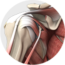 Robert Z Tashjian MD