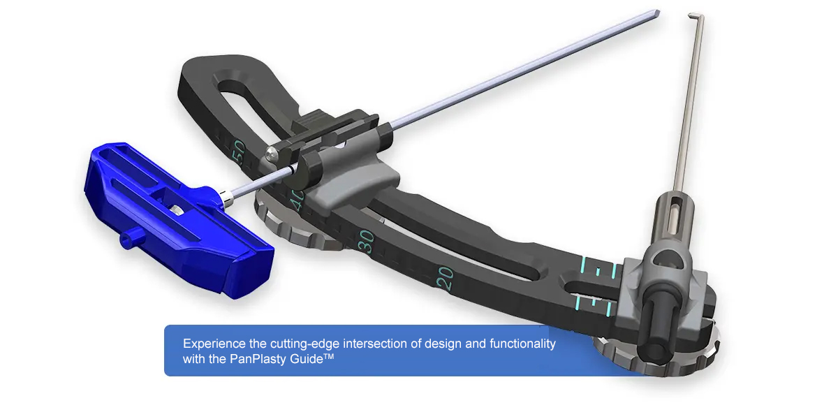 The PanPlasty Technique TM The Art of Precision