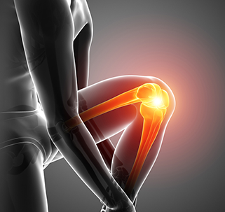 Picture of Knee