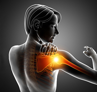 Picture of Shoulder