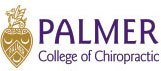 palmer logo