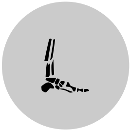 Regenerative Icon