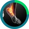 Foot & Ankle Icon