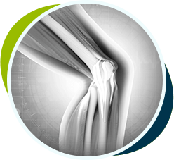 Picture of Research & Publications1