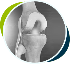 Picture of Research & Publications2