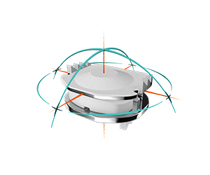 Motion Preservation Surgery